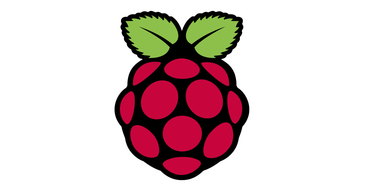 Raspberry pi logo